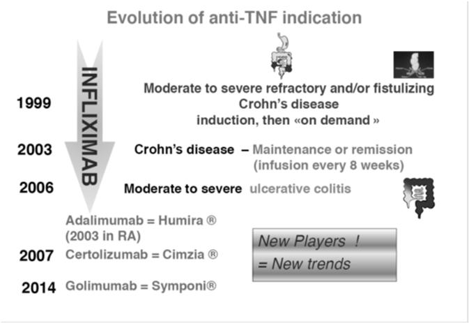 Ρόλος του TNF σε κοκκιωματώδεις νόσους Συμμετοχή στην στρατολόγηση των κυττάρων