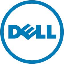 decline is the consequence of higher than anticipated excess inventory (World Street Journal, 1993) Dell acknowledged