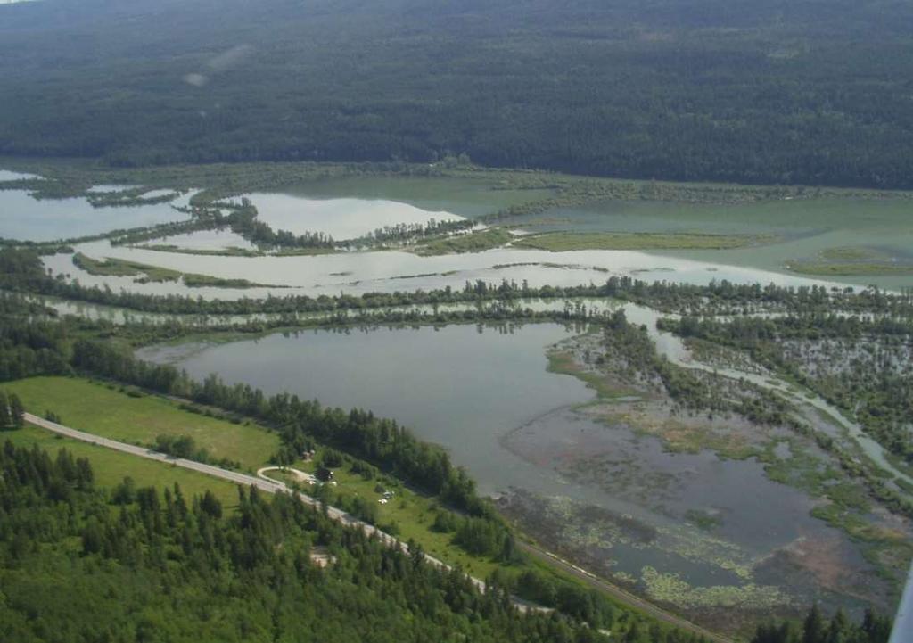 Πεδιάδα πλημμύρας (flood (flood plain plain)) Πλευρικά από αυτόν και κυρίως στα χαμηλότερα τμήματα ενός ποταμού,