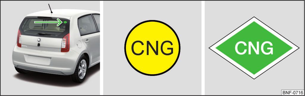 Απαγορεύεται η χρήση LNG (Liquefied Natural Gas), LPG (Liquefied Petroleum Gas) και υδρομεθάνιο (μίγμα υδρογόνου και μεθανίου) - υπάρχει κίνδυνος πρόκλησης ζημίας του κινητήρα και του συστήματος