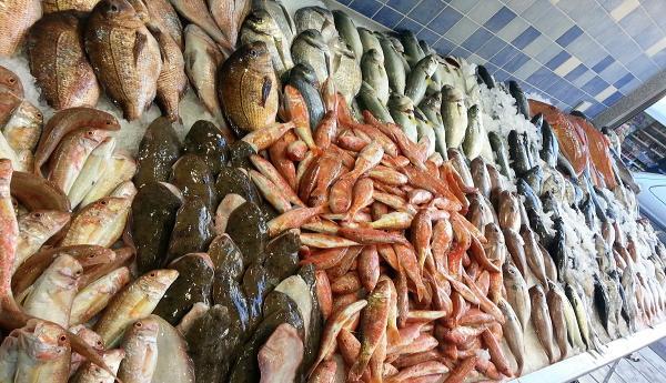 ΓΕΝΙΚΗ ΔΙΕΥΘΥΝΣΗ ΚΤΗΝΙΑΤΡΙΚΗΣ
