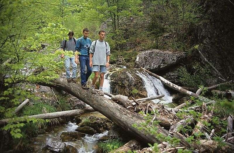 Σε όλο τον ορεινό όγκο του Ολύμπου, ο οποίος παρουσιάζει ποικιλόμορφη δομή, που ικανοποιεί τόσο τον απλό πεζοπόρο όσο και τον εξασκημένο