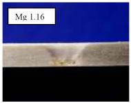 atacate cu un reactiv metalografic pentru magneziu avand compozitia: 10% acid acetic de concentratie 99%, 5% acid picric, 10% apa, 75% etanol de concentratie 99% [5].