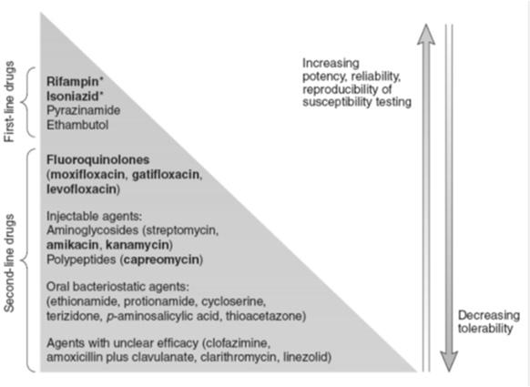 Drug-resistant mutants in large bacterial population Multidrug therapy: No bacteria resistant to all 3 drugs INH RIF PZA
