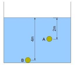 σχήμα), θα ισχύει: (επιλέξτε το σωστό) α) Ρ Ν = Ρ Λ β) Ρ Ν > Ρ Λ γ) Ρ Ν < Ρ Λ Δικαιολογήστε την επιλογή σας. 6. Παρατηρήστε τη φωτογραφία του φράγματος της λίμνης του Μαραθώνα στην 1 η σελίδα.