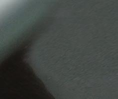 2585-2302 I N E 02 www.