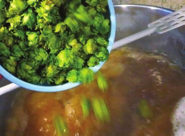 pale ale της Wayerman ή οποιαδήποτε αντίστοιχη άλλης