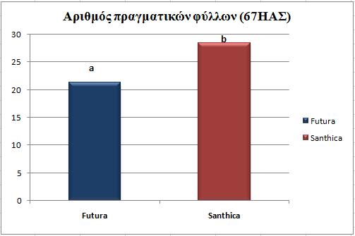 Διάγραμμα 4.2.1.5 Αριθμός πραγματικών φύλλων φυτού για τις δύο ποικιλίες (Futura 75 και Santhica 27) την 67η ημέρα από τη σπορά.