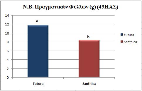 Σύμφωνα με την Ανάλυση Παραλλακτικότητας, οι μετρήσεις νωπού βάρους πραγματικών φύλλων που πραγματοποιήθηκαν την 43 η ημέρα από τη σπορά παρουσιάζουν στατιστικά σημαντικές διαφορές (P< 0,05) για τον