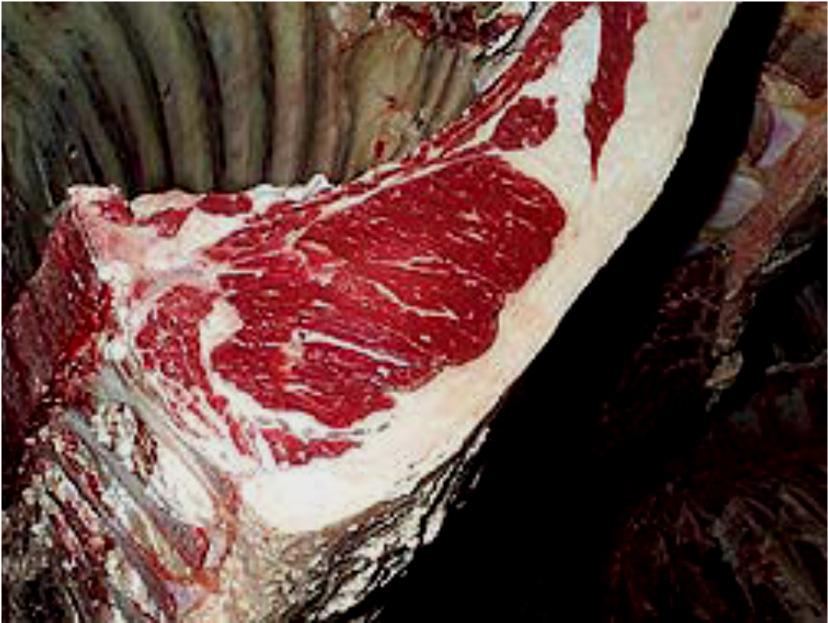 Compararea dintre o carne tratată și una netratată, după pierderea în greutate datorată gradului de deshidratare nu duce la nici o diferență semnificativă.