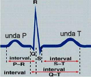 umorali ( PO2, Ca++, K+).