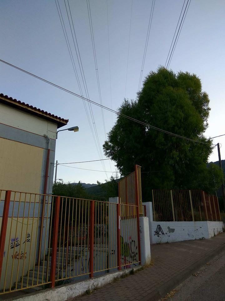 Εικόνες 4.