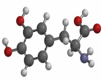 ATIPARKISIEE DPA 2 2 Levodopa (S-DPA) antiparkinsonian (R)-DPA