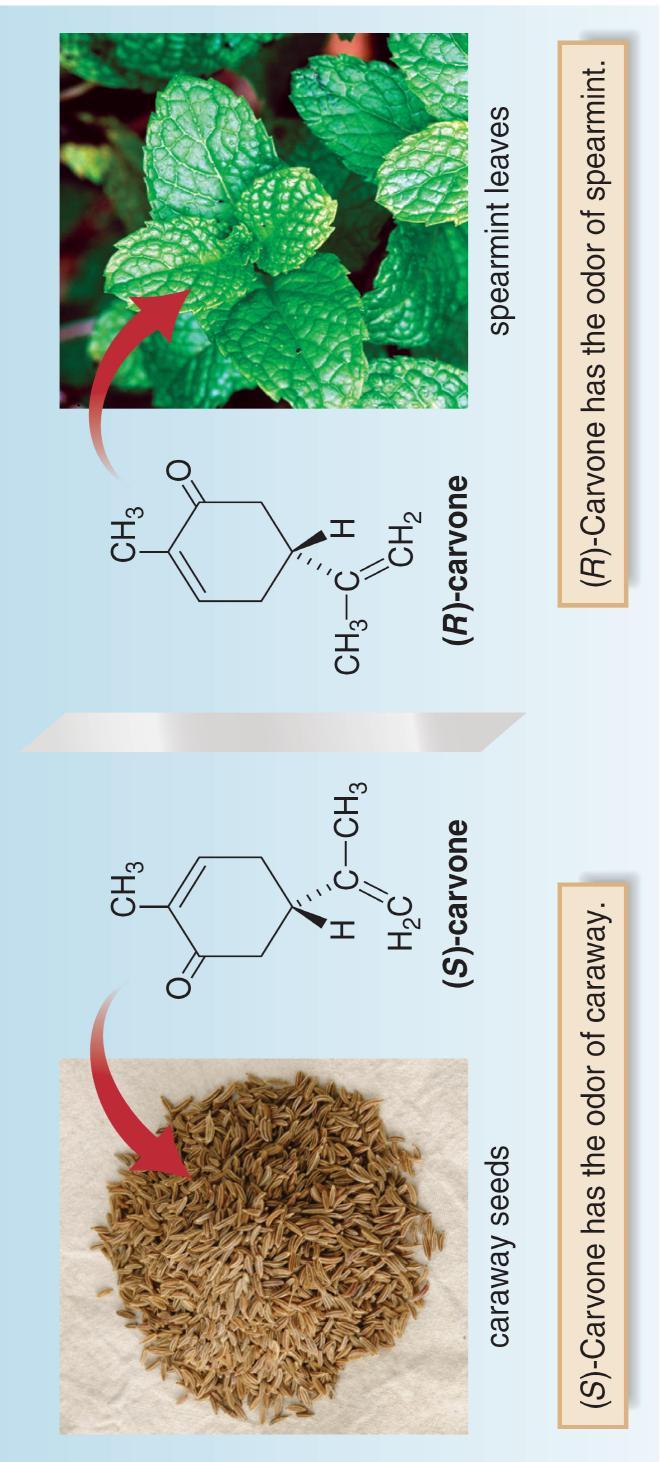 Receptorii sunt chirali interacţiunea cu enantiomerii este stereoselectivă şi decurge după un mecanism tip lacăt - cheie Ex.