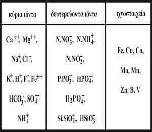 Σταφυσικάνεράανιχνεύονταιεπίσηςκατιόντασιδήρου,