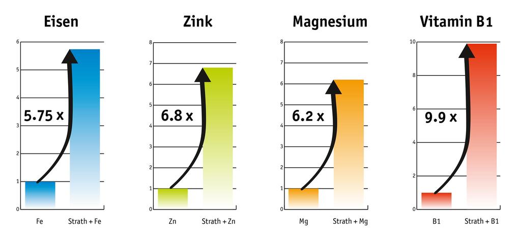 Βαθμός αύξησης σε Βιοδιαθέσιμα συστατικά Fe, Zn, Mg & B1 Quelle: