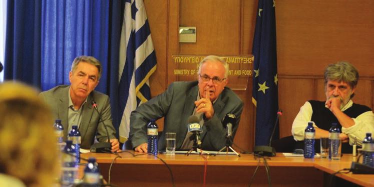 Συμπαίκτη κολιίνεο