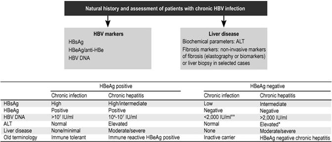 του HBeAg, των επιπέδων HBV DNA, της ALT και της παρουσίας ή όχι φλεγμονής στον ηπατικό ιστό Αλλαγή στην ονοματολογία Δύο κύρια χαρακτηριστικά νόσου: η