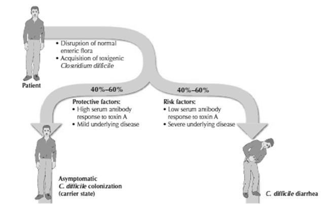 Factors contributing to the development of