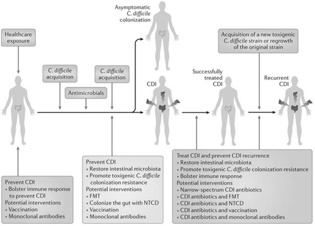 Infection Control Measures for the Prevention of Horizontal Transmission of C. difficile Infect Control Hosp Epidemiol. 2010;31:431 55 C.