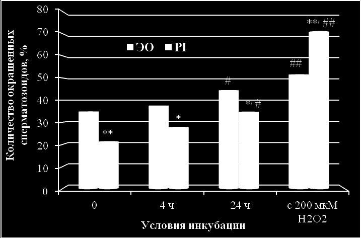 21. - ( ) - (PI) * 0,05, ** 0,01 ; # 0,05, ## 0,001 - (0 ), - ( ), (PI). - -,.