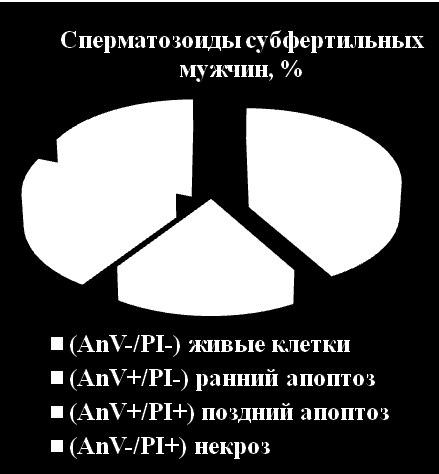 et al., 2002; Riccioli A. et al., 2005]. [Sun J.G. et al., 1997; Donnelly E.