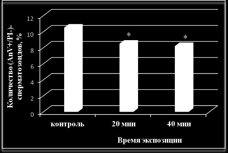 -, - -, ё. -. -., ё,, - Д.