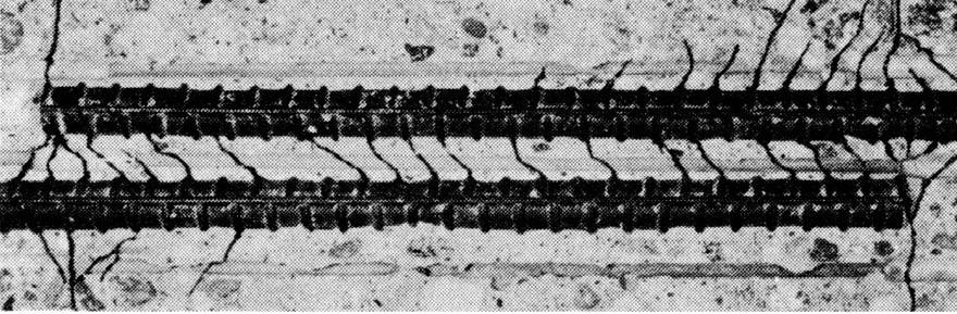 Aderenţa beton-armătură. Ancorarea şi înnădirea armăturilor 107 5φ, şi 50 mm 10φ, şi 70 mm a) b) c) d) Fig. 5-13.