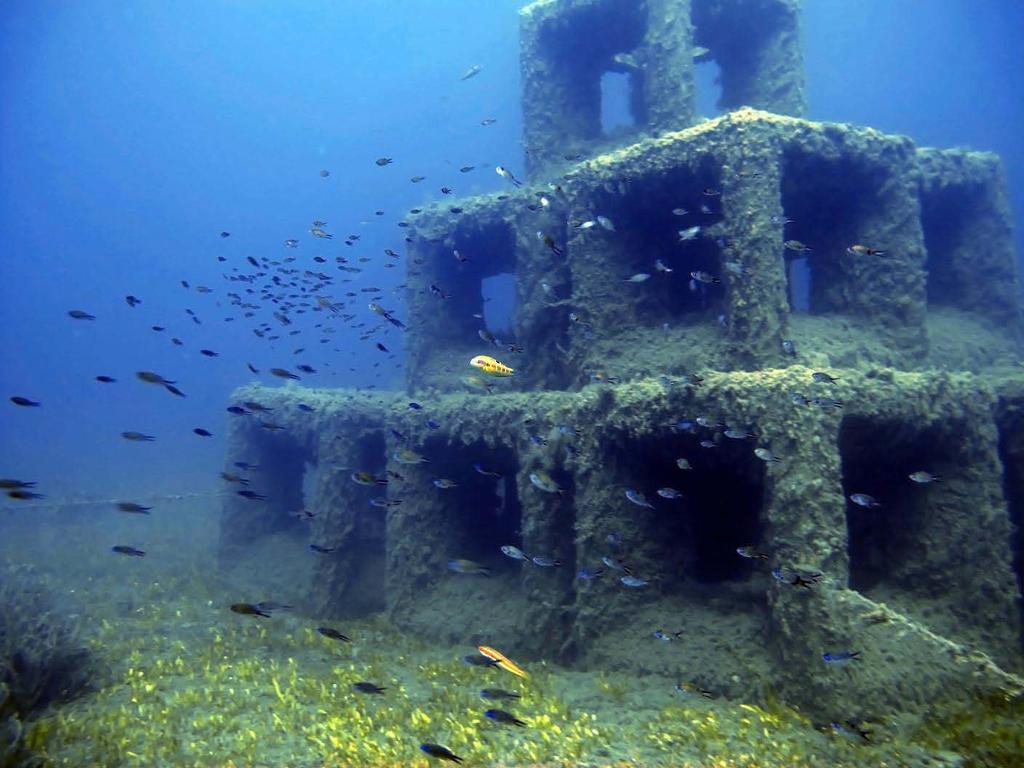 Εικόνα3.