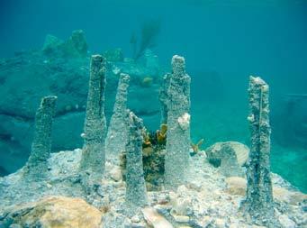 16: Τεχνητός ύφαλος τύπου Stalactites Style Stalagmite Style Είναι το καλούπι του Cake Layer ανάποδα και χρησιμοποιείται η μέθοδος Stalactites για να