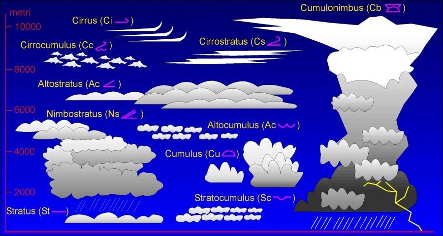 Rodovi oblaka Naoblaka - ukupna količina oblaka Rodovi i vrste oblaka ocjenjuju se na meteorološkim stanicama. Naoblaka se iskazuje u desetinama zastrte površine neba, a ocjena se donosi vizualno.