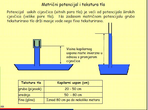 kiše U dublje slojeve do podzemnih voda Horizontalno kiše jačeg intenziteta (vegetacija