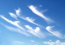 CIRRUS (Ci) -visoki, vlaknasti oblak -sastavljen od ledenih kristalčića -oblika nježnih niti,