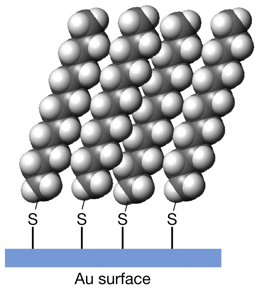 Monoslojevi alkiltiola formirani na površini zlata hemisorpcijom tiolnih grupa i agregata alkilnih lanaca Adsorpcija se dešava kako na površini