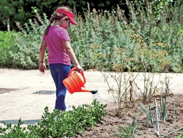 καινοτομίες και τις λειτουργίες του ενεργειακού στεγάστρου, των πράσινων δωμάτων και των ποτιστικών δεξαμενών, καθώς και τον ρόλο τους στην καθημερινή λειτουργία του ΚΠΙΣΝ.