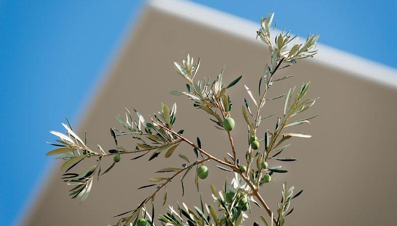 Τι είναι η πιστοποίηση LEED Platinum; H πιστοποίηση LEED καλύπτει 6 βασικές πτυχές τόσο στο στάδιο σχεδιασμού όσο και στο στάδιο κατασκευής.