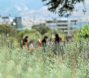 λίπανση. Το Πάρκο Σταύρος Νιάρχος φιλοξενεί υπεραιωνόβιες ελιές; Τα φυτεμένα δώματα καταλαμβάνουν έκταση 18.