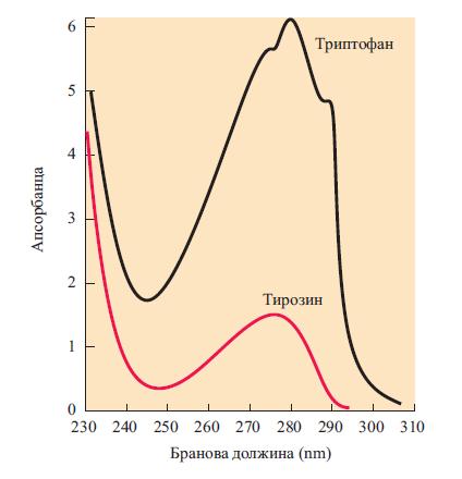 СПЕКТРОСКОПСКИ СВОЈСТВА Сите аминокиселини апсорбираат во инфрацрвениот регион, некои апсорбираат UV зрачење, ниту една аминокиселина не апсорбира светлина во видливиот дел од електромагнетниот