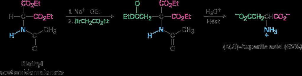 АМИДОМАЛОНАТНА СИНТЕЗА Методот се базира на малон естерската синтеза на зголемување на низата. Најпрвин диетилацетамидомалонатот конвертира во енолатен јон при третман со база.