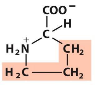 ОПШТА СТРУКТУРА НА АМИНОКИСЕЛИНИТЕ Кај сите аминокиселини освен кај глицинот, α-јаглеродниот атом е хирален, поврзан е со четири различни групи: карбоксилна група,