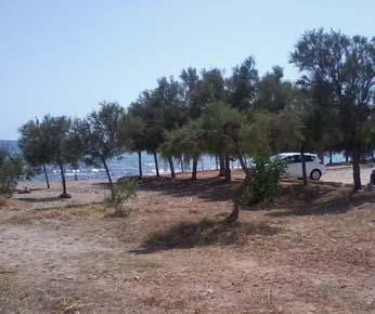 Γεωργίου n Θέση 2: Θεμιστοκλέους & Θερμοπυλών n Θέση 3: Λεωφ. Γ. Γρέγου 16-20 n Θέση 4: Πλατεία Αμφιθέας n Θέση 5: Λεωφ.
