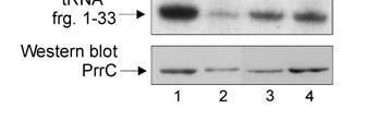 (Stols et al.