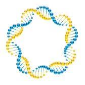 בפרוקריוטיים ה DNA נמצא בכרומוזום אחד טבעתי בציטופלסמה.
