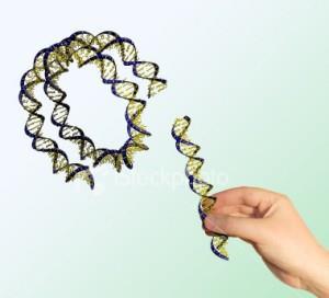לפני שפותחה שיטה זו לייצור אינסולין, אינסולין היה נאסף מדמם של בע"ח, סוסים וכבשים. כמות האינסולין בדם קטנה מאוד לכן היה צורך בעדרים גדולים של בע"ח כדי להפיק מעט אינסולין.