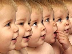 cloning יצירת שבט מלאכותי. (clone) של בע"ח או צמחים הזהים זה לזה באופן שיבוט מתרחש גם באופן טבעי: ביצורים המתרבים בחלוקה בהיווצרות של תאומים זהים וברבייה וגטטיבית בצמחים.