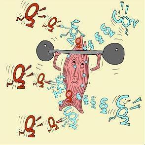 כל תא מקיים חילוף חומרים metabolism עם הסביבה. - חומרי מזון נכנסים לתא, פסולת יוצאת ממנו. - חמצן נכנס לתא בתאים אירוביים, שנושמים עם חמצן, ו - 2 CO יוצא ממנו.