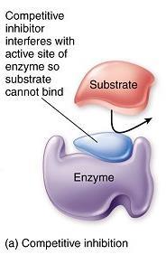 Inhibitors מעכבים אנזימטיים מעכב תחרותי: חומר הדומה מאוד במבנהו לסובסטרט של אותו אנזים, מתקשר לאתר הפעיל וחוסם אותו בפני הסובסטרט.