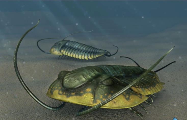 Όψιμη Δεβόνια περίοδος (375-360 mya) εξαφάνιση τουλάχιστον του 70% των ειδών. Eξαφάνιση των τριλοβιτών και πολλών θαλάσσιων οργανισμών.