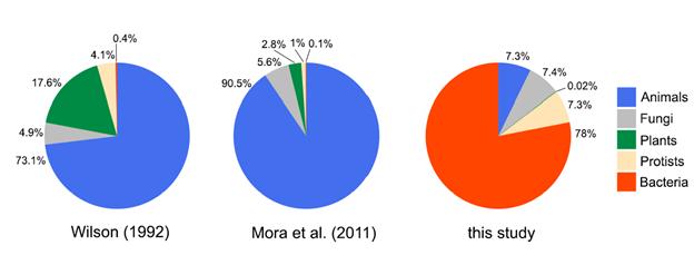 Παγκόσμια βιοποικιλότητα Περίπου 1,5 εκατομμύρια είδη έχουν περιγραφεί μέχρι σήμερα.