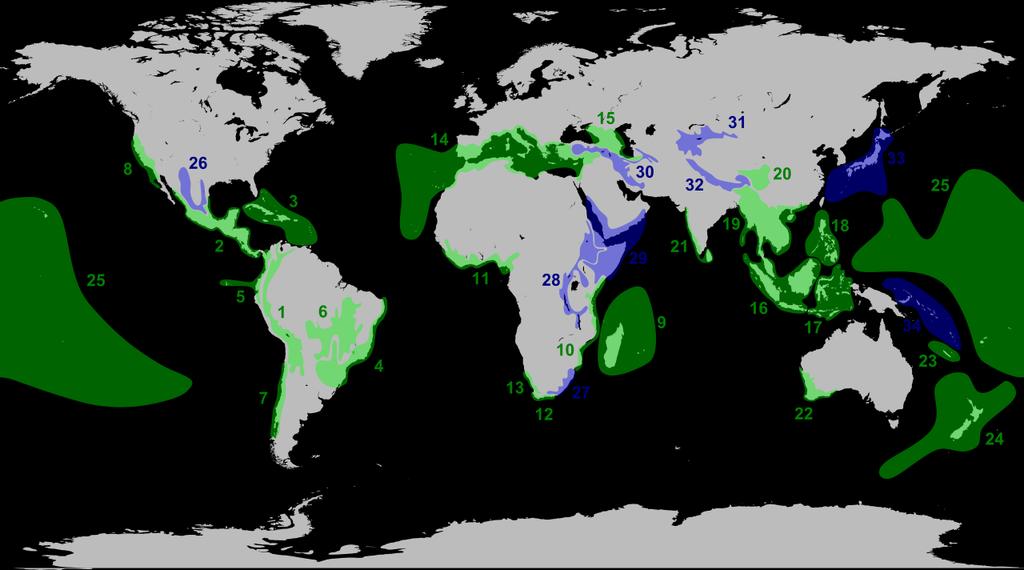 Παγκόσμια βιοποικιλότητα hot spots Ως hot spots έχουν χαρακτηριστεί περιοχές που: Α. Διαθέτουν τουλάχιστον 1.500 ενδημικά είδη αγγειωδών φυτών ως ενδημικά τα είδη αυτά δεν υπάρχουν αλλού στη Γη. Β.